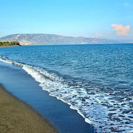 Gonaj 3*